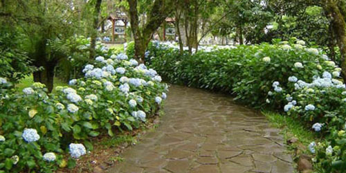 Parque EcolÃ³gico do TororÃ³